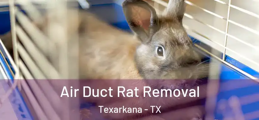  Air Duct Rat Removal Texarkana - TX