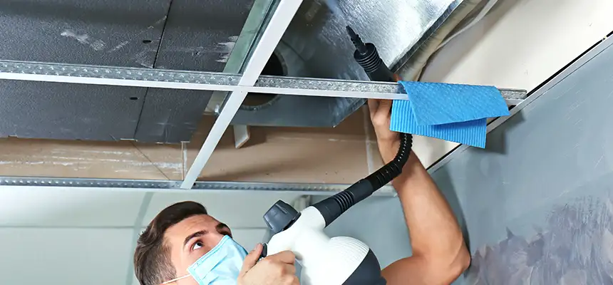 Our Air Duct Rodent Removal Services in Texarkana, TX
