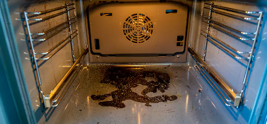 Our Dryer Vent Mold Cleaning Services in Texarkana, TX