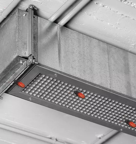 About Air Duct Cockroach Removal in Texarkana, TX
