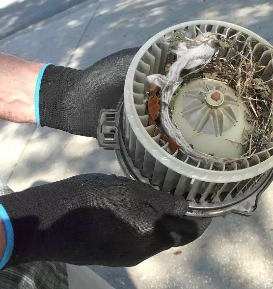 About Air Duct Rat Removal in Texarkana, TX